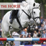 The Horse