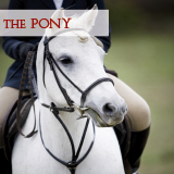 The Pony